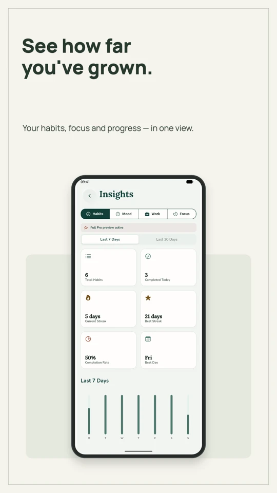 A matching FrogHappy progress screenshot in the minimal Studio template.